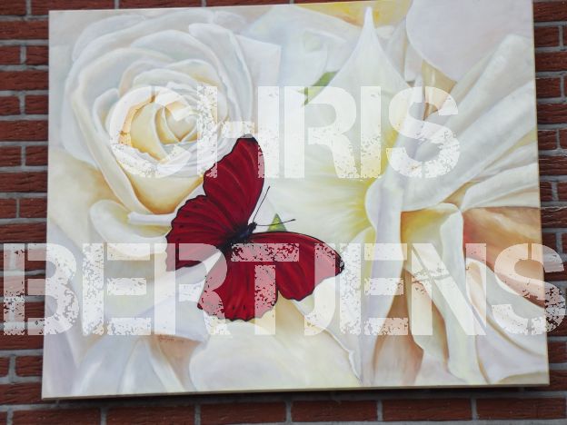 Paneel op gevel roos met rode vlinder 120x100