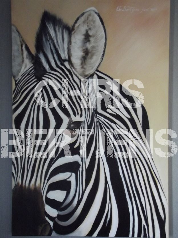 Zebra 60x90